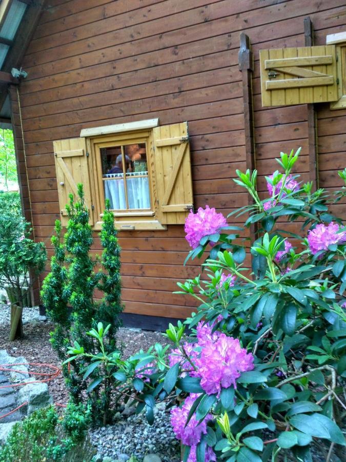 Chatki Saturnina I Pokoje Świnoujście Exteriör bild