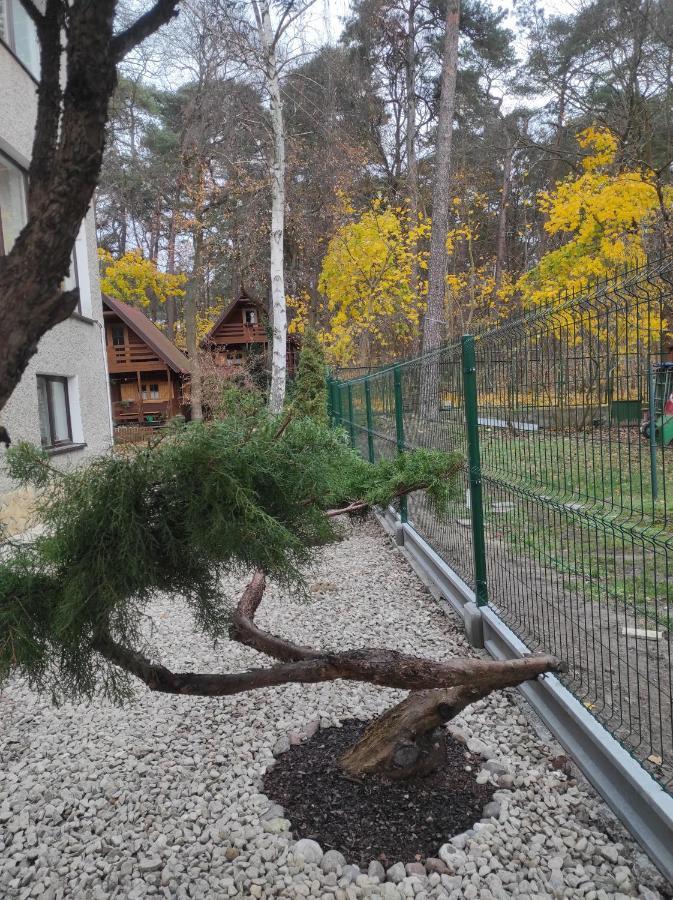 Chatki Saturnina I Pokoje Świnoujście Exteriör bild